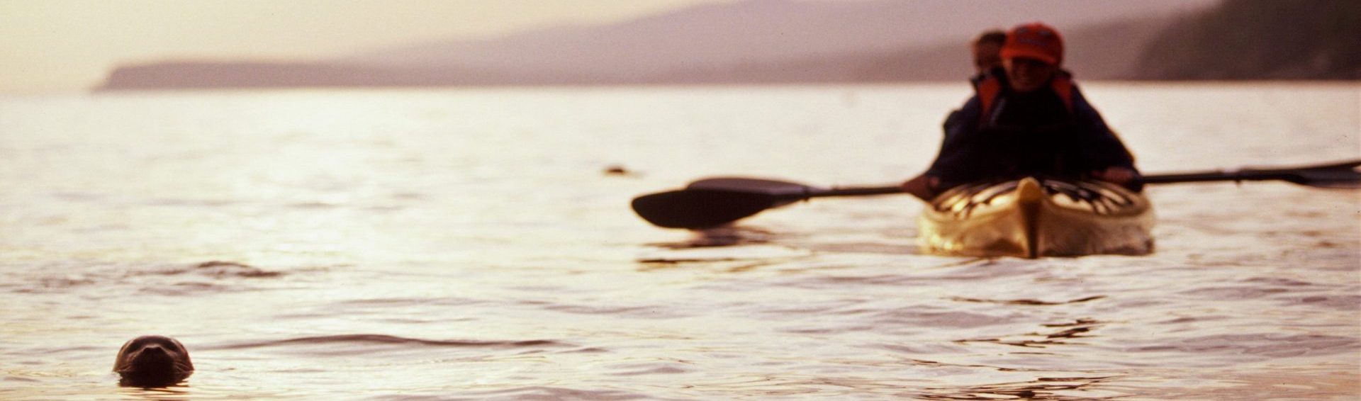 Cap Aventure Safari-Baleines en zodiac
