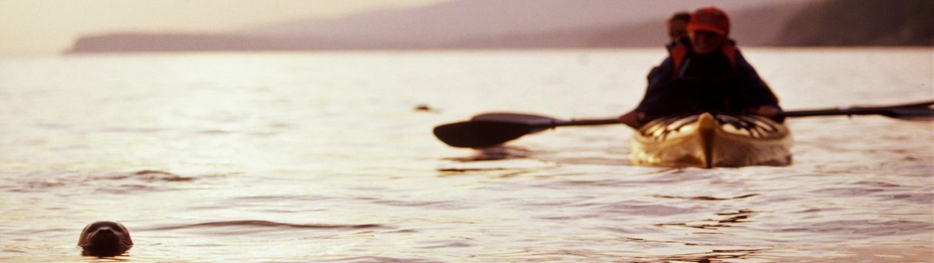 Cap Aventure Whale Safari in zodiac