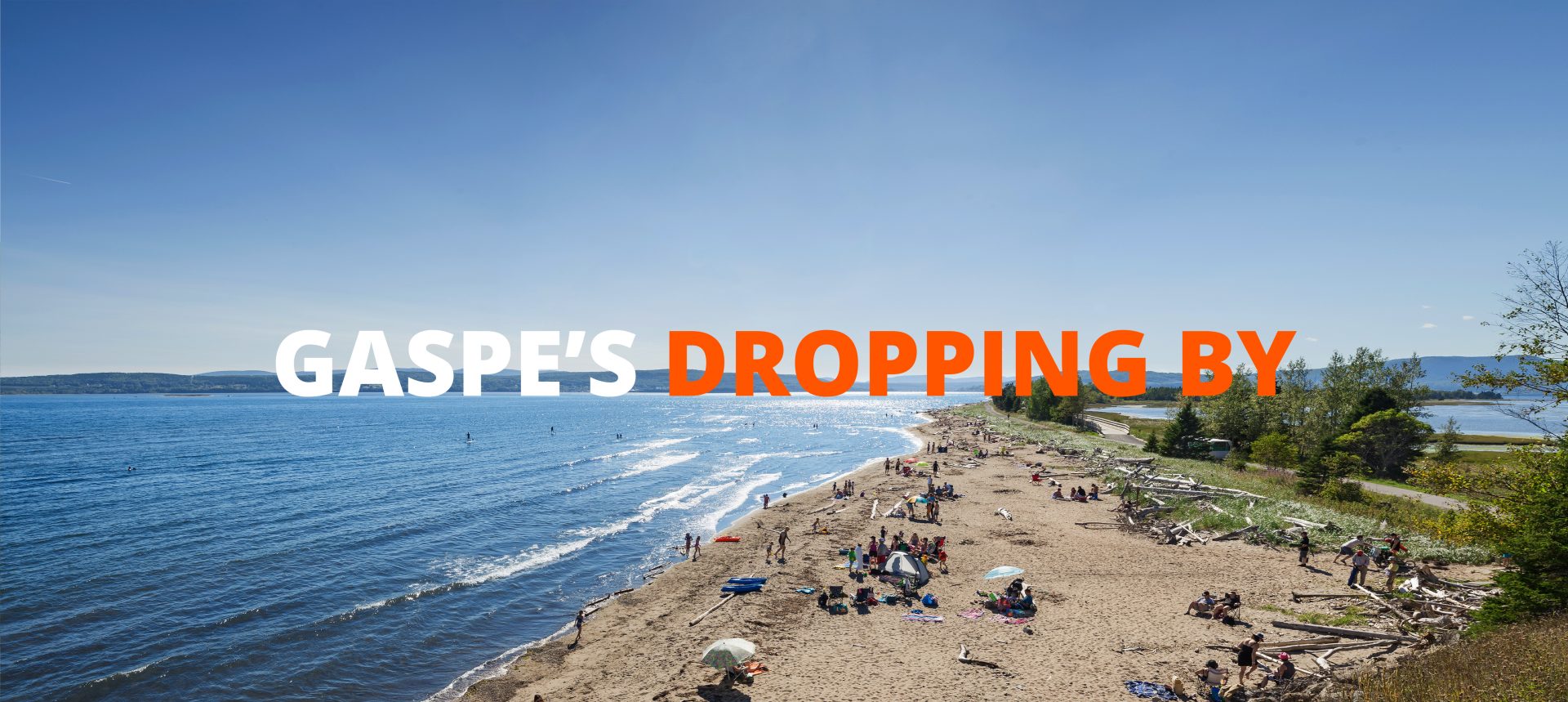 Gaspe’s dropping by : Sink or Swim?