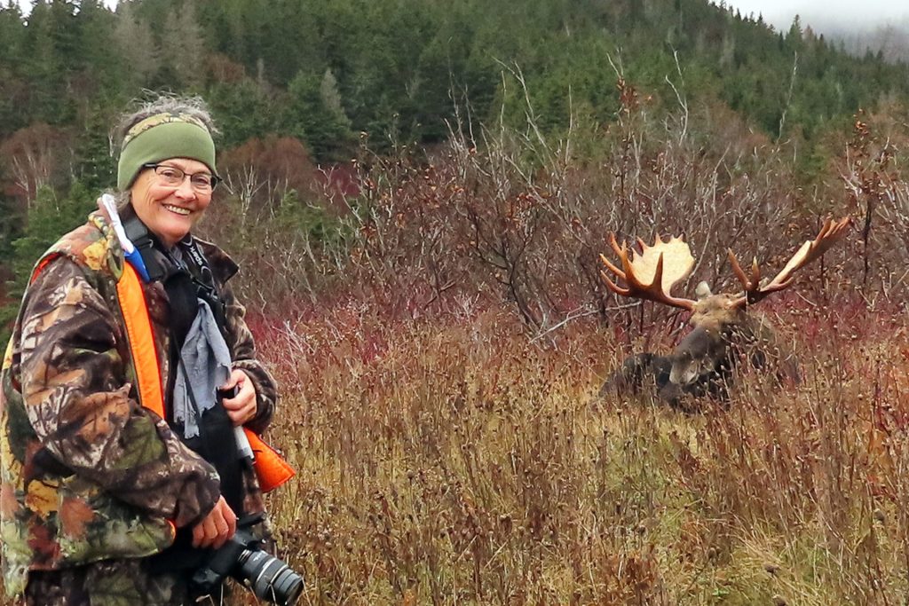 Diane Bois: la femme qui murmurait à l’oreille des orignaux